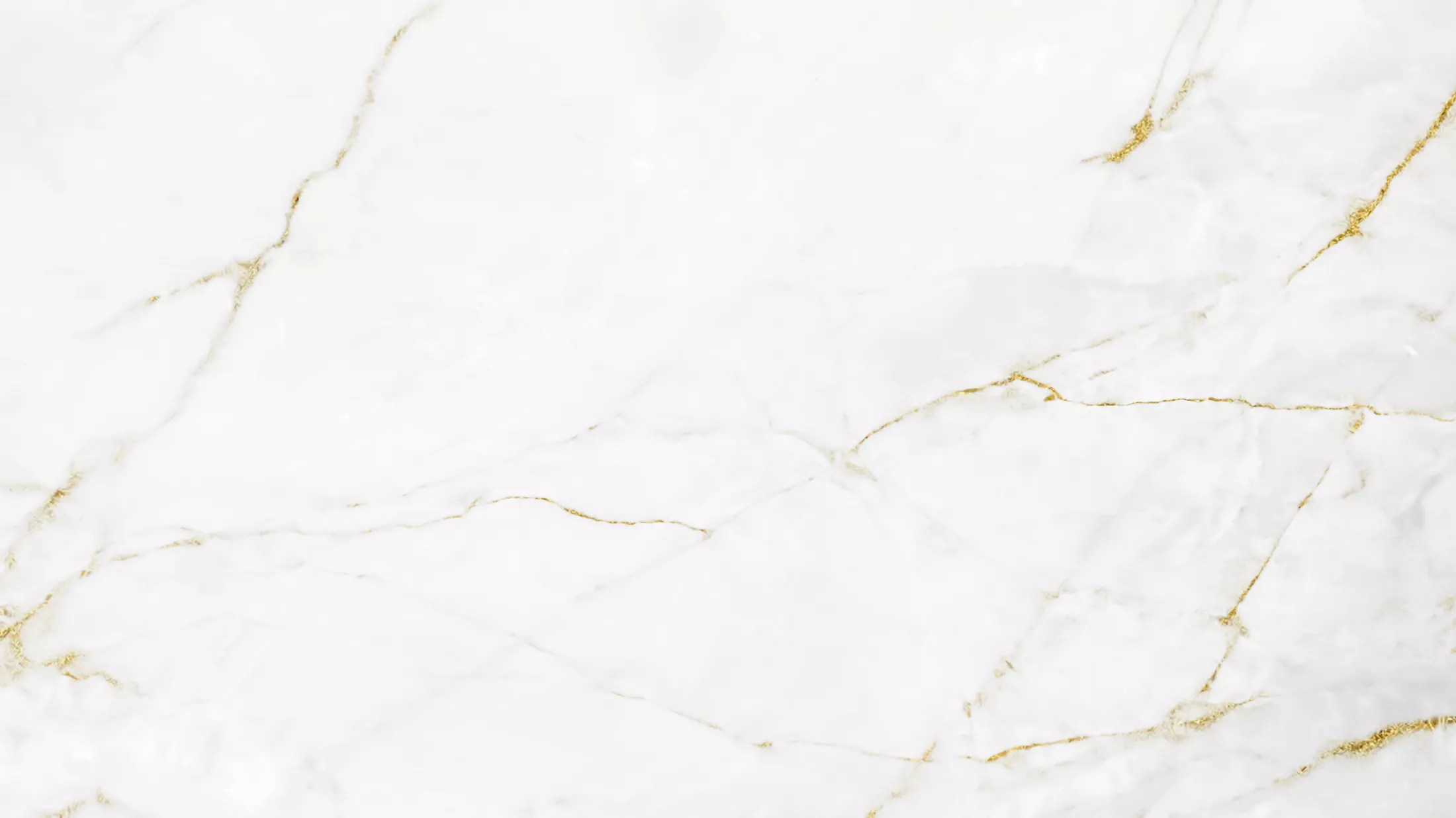 adobestock-326511984
